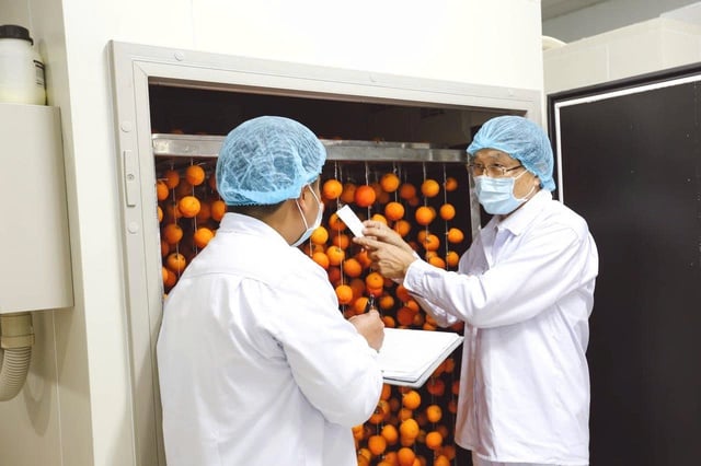 Langfarm - Hành trình từ đặc sản Đà Lạt đến trải nghiệm bản sắc Việt - Ảnh 2.