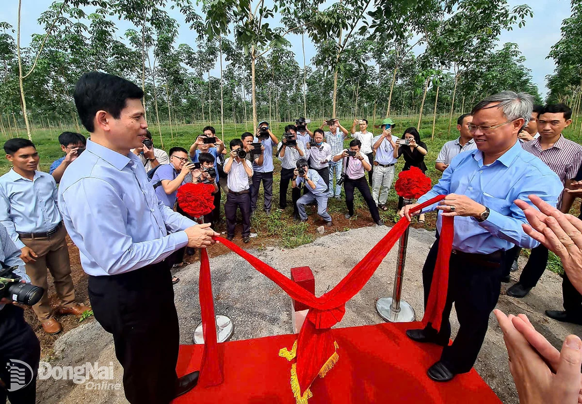 Reporteros de agencias de prensa trabajando en el Proyecto del Aeropuerto de Long Thanh.