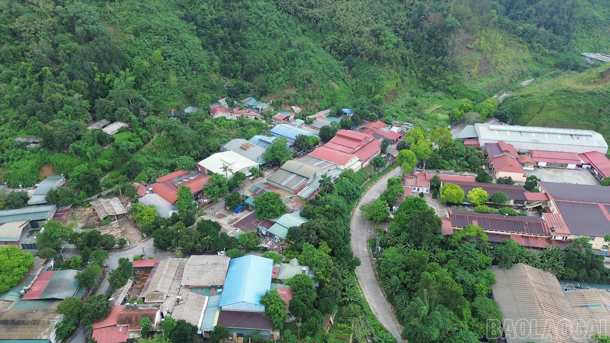 baolaocai-br_dji-0950.jpg