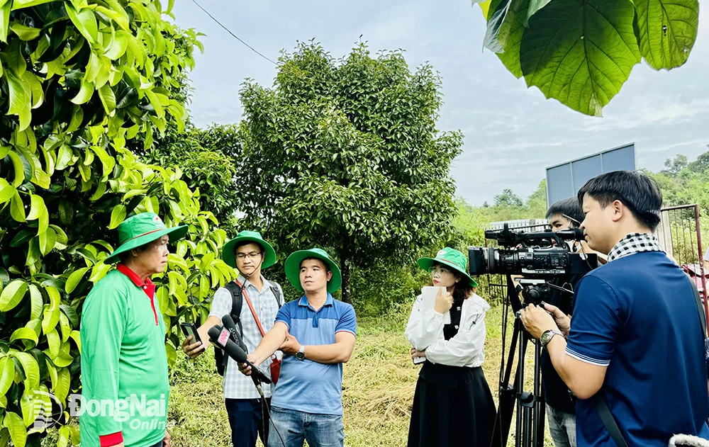 អ្នក​យក​ព័ត៌មាន​ទាំង​ក្នុង​និង​ក្រៅ​ខេត្ត​បាន​សម្ភាសន៍​កសិករ​ល្អ​នៅ​ស្រុក​ថោងញ៉ត។