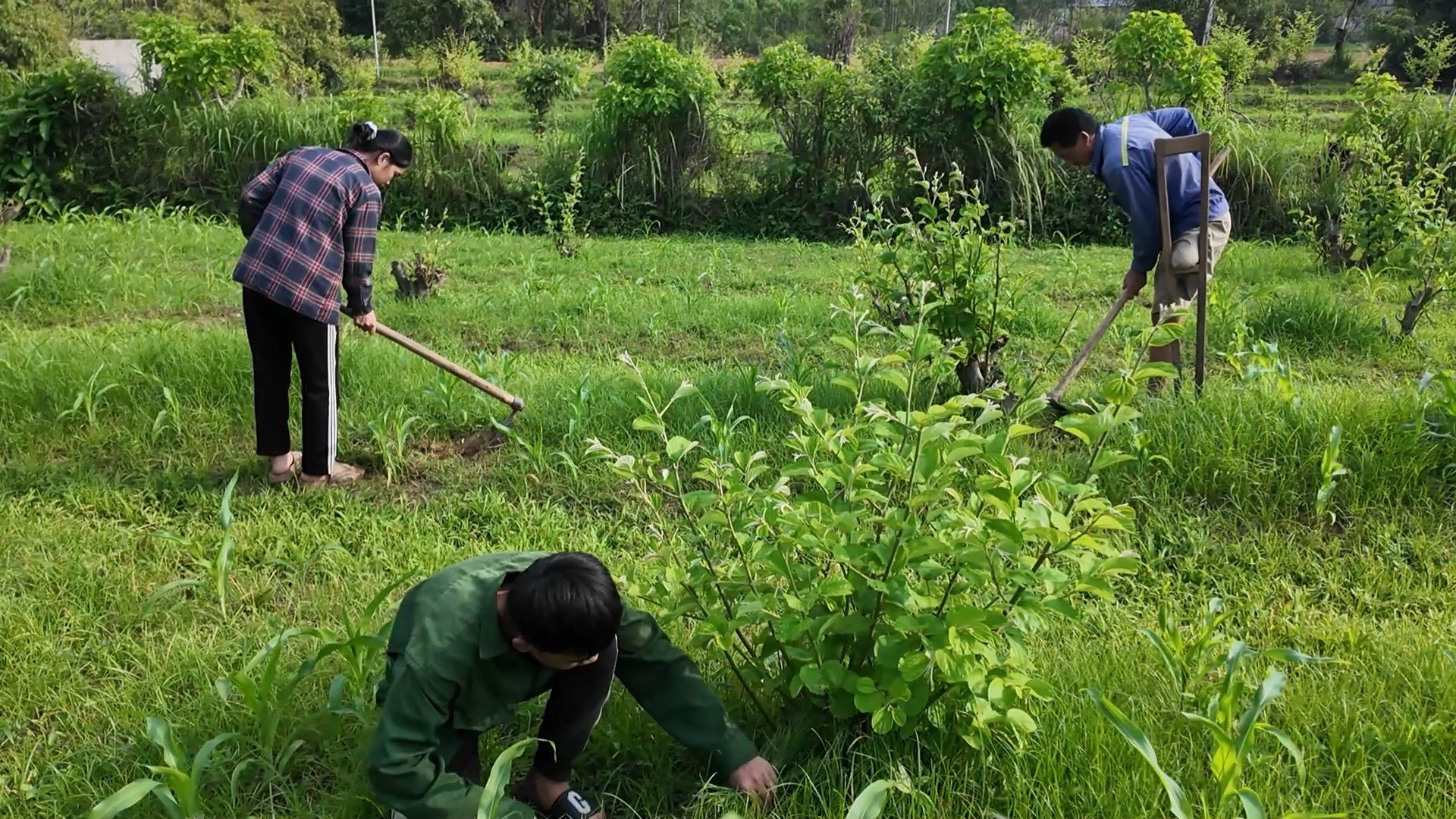 Hình ảnh người cha bị mất một chân vẫn hằng ngày mưu sinh để nuôi các con khiến khán giả không khỏi đau lòng.