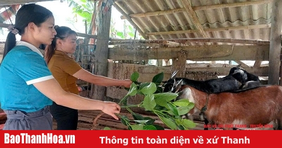 Đồng hành cùng phụ nữ vùng cao phát triển kinh tế