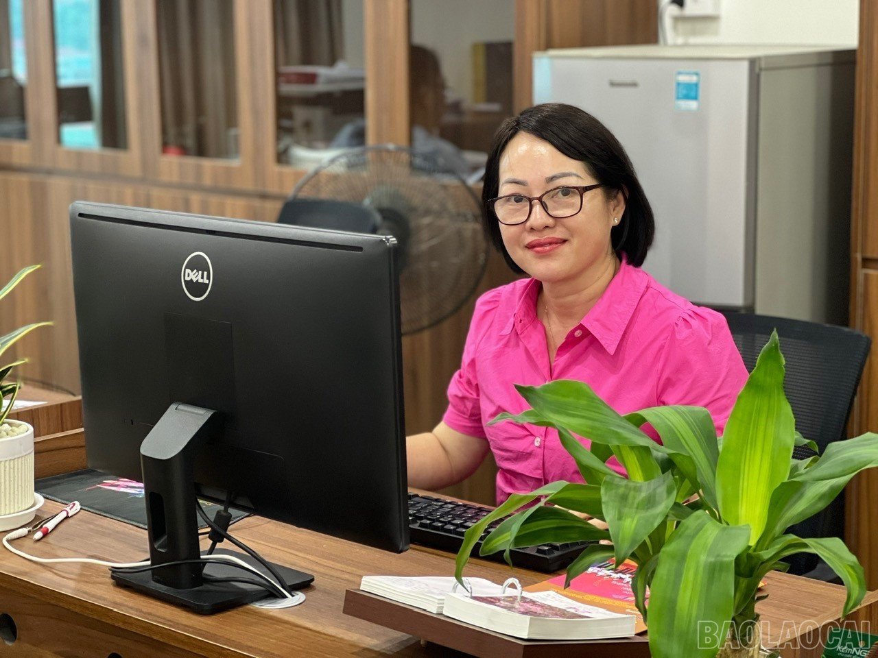 baolaocai-br_1iu7vu1ja-4q40mr.jpg