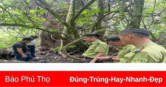 Tái thả động vật hoang dã quý hiếm về tự nhiên
