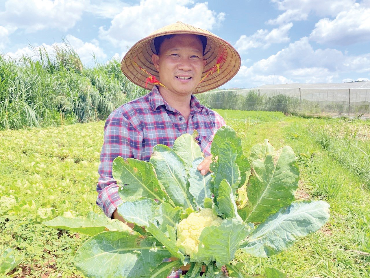 Khu vườn “tiên cảnh” của nông gia Bùi Ngọc Châu ở xã Hoài Đức, huyện Lâm Hà