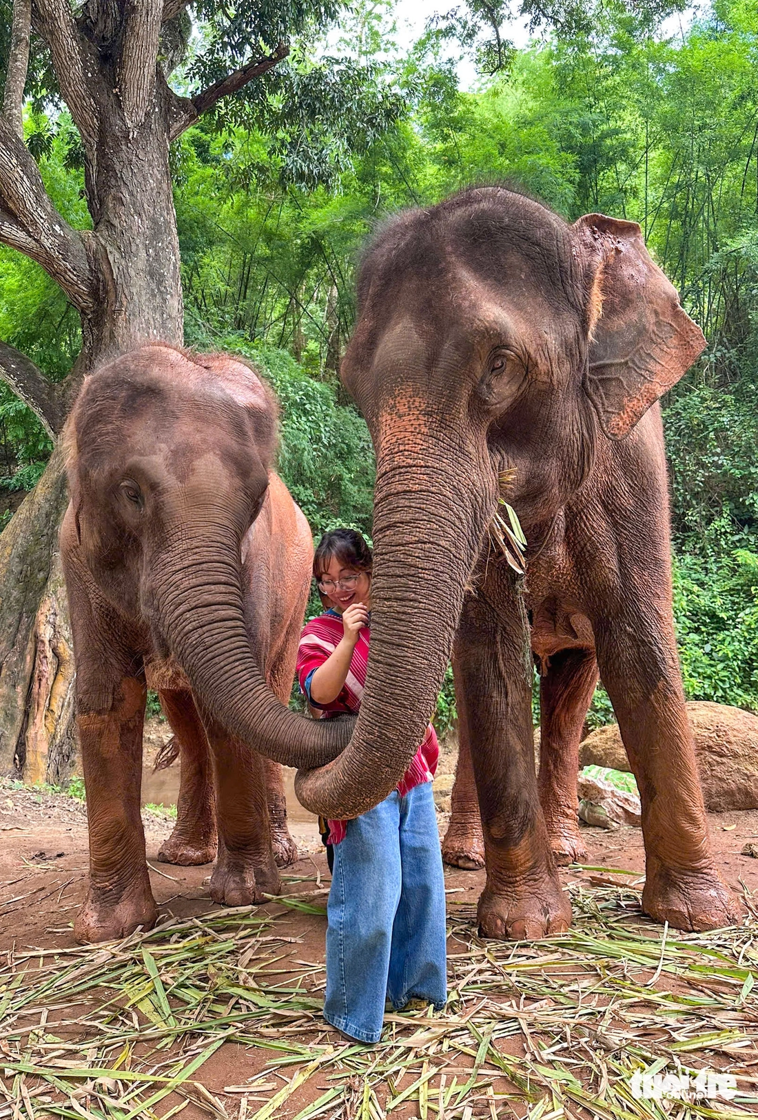 Chiang Mai - Ảnh 18.