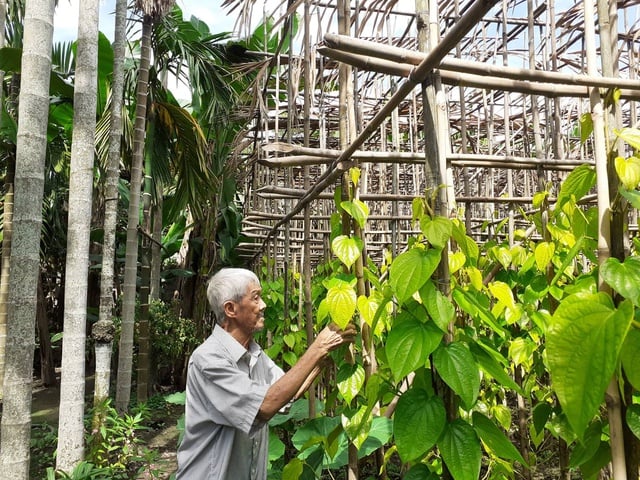 Những trang báo ký ức - Ảnh 3.