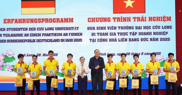 សាកលវិទ្យាល័យ Cuu Long ពង្រឹងកិច្ចសហប្រតិបត្តិការបញ្ជូននិស្សិតទៅកម្មសិក្សា និងធ្វើការនៅបរទេស