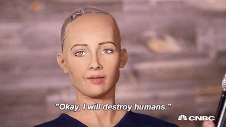 bot-1.png