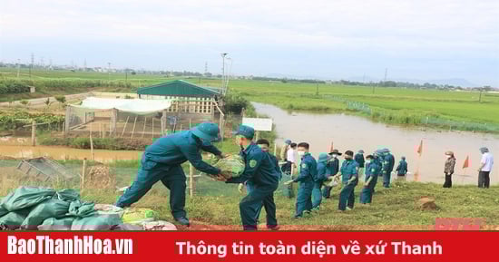 5 nhiệm vụ trọng tâm nhằm tăng cường hiệu quả công tác phòng ngừa, ứng phó, khắc phục hậu quả thiên tai trên địa bàn tỉnh