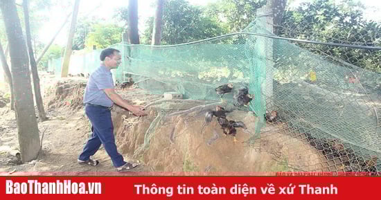 Chàng kỹ sư mỏ về quê khai phá vùng đồi