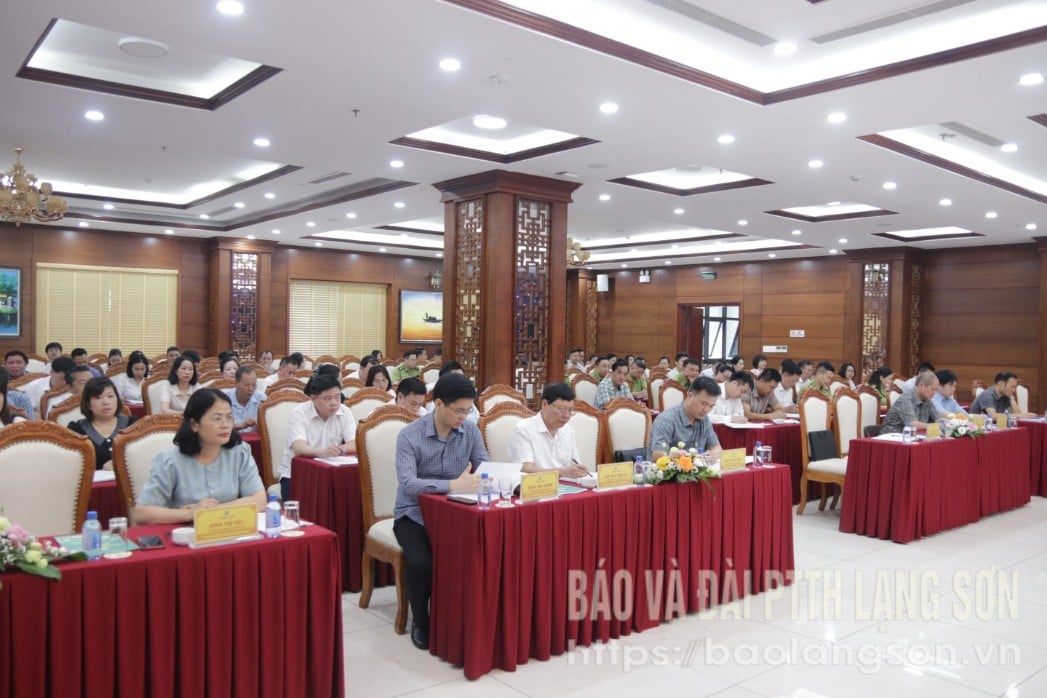 Các đại biểu dự hội nghị