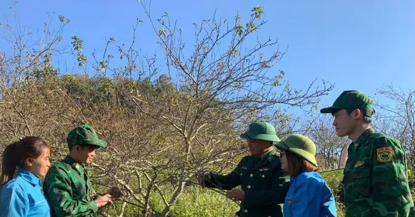 兵士たちは貧困から逃れるために、傾斜地で果物を栽培するよう人々を指導している。