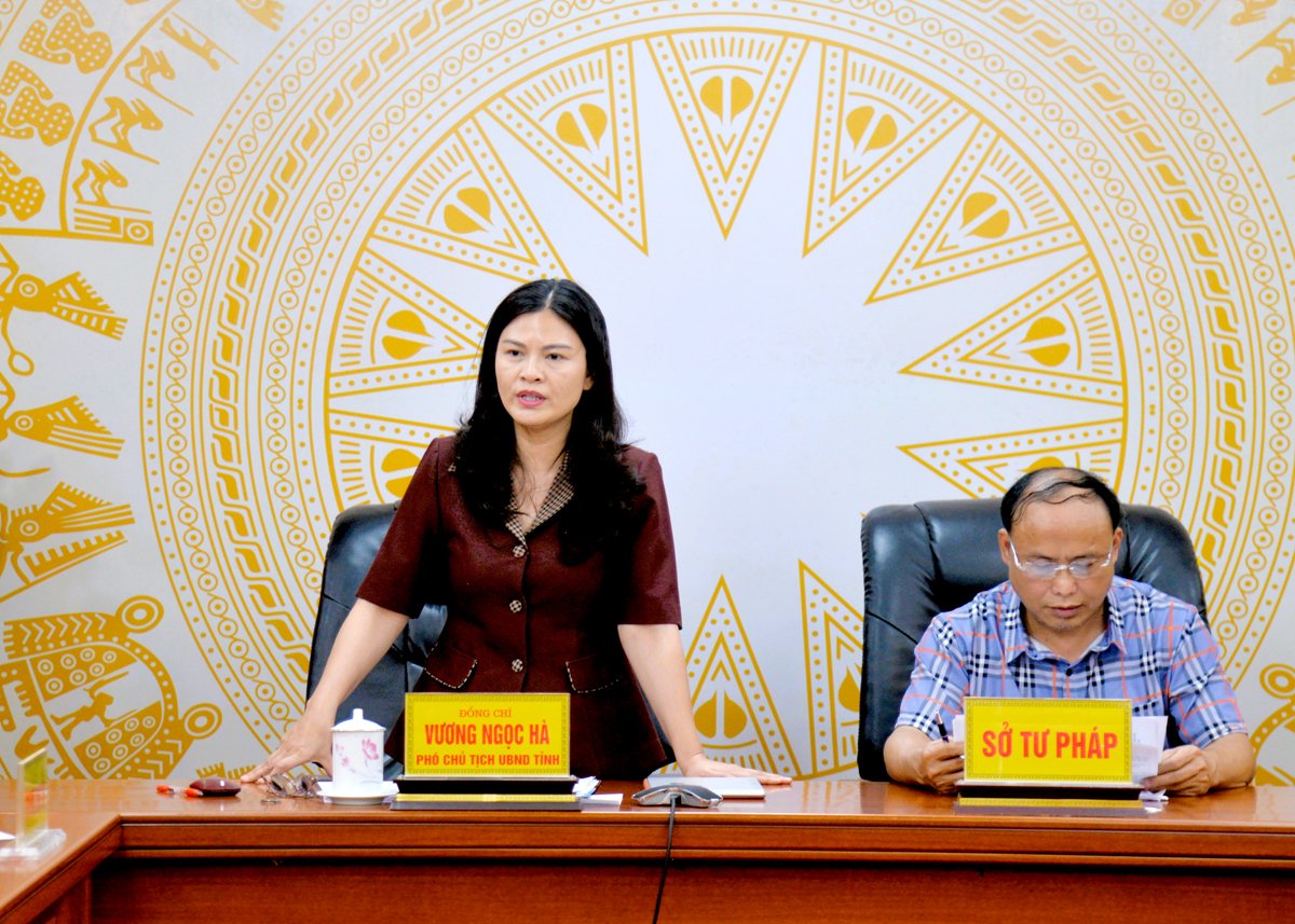 Vice Chairman of the Provincial People's Committee Vuong Ngoc Ha gave a speech at the conference.