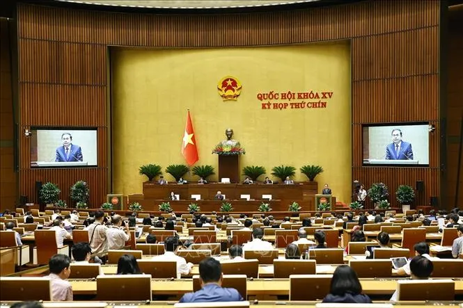 Последняя рабочая неделя 9-й сессии 15-й Национальной ассамблеи приняла множество законов и постановлений. Фото: VNA