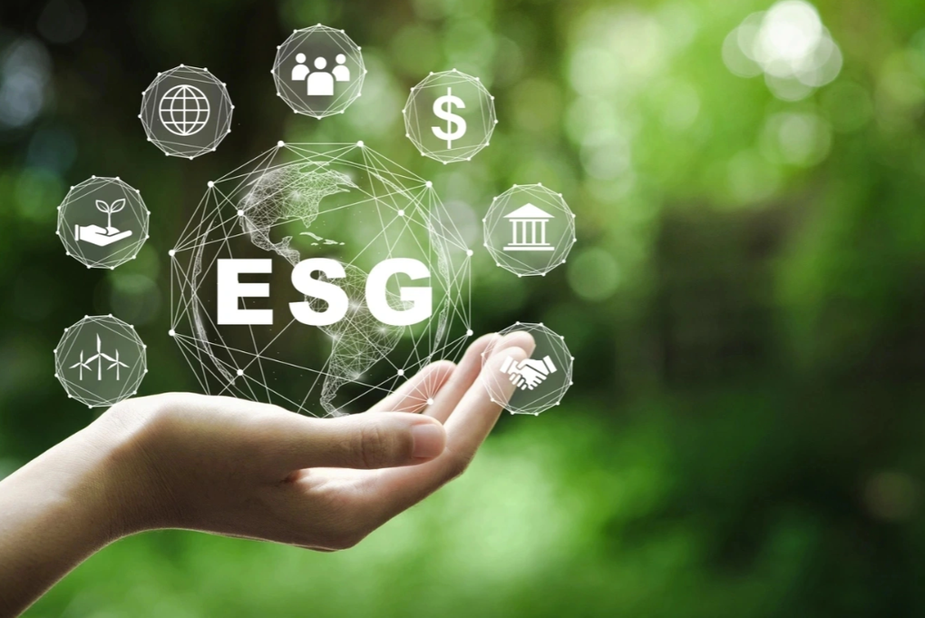 Chuyển đổi số, thực hành ESG: Cánh cửa hướng đến hội nhập toàn cầu - 1