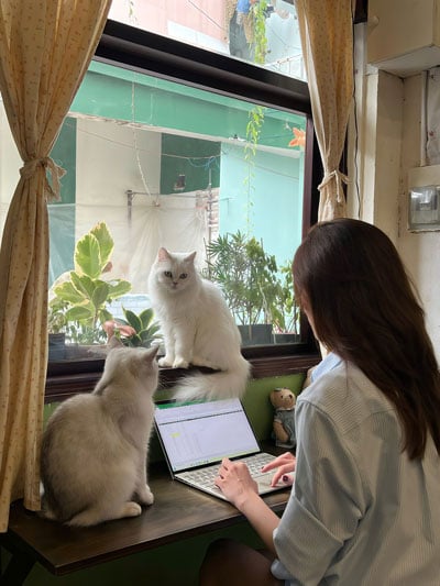 Lối đi ngay dưới chân mình - Ảnh 2.