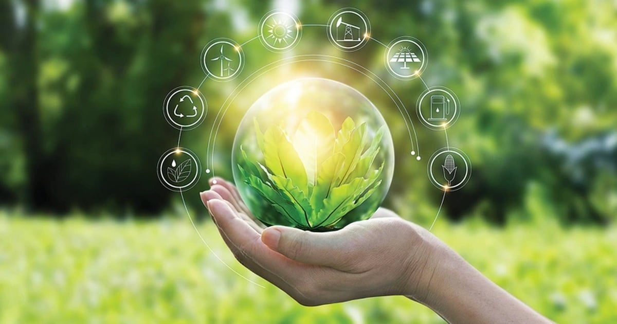 CBAM: Pressure or push for Vietnamese businesses to go green?