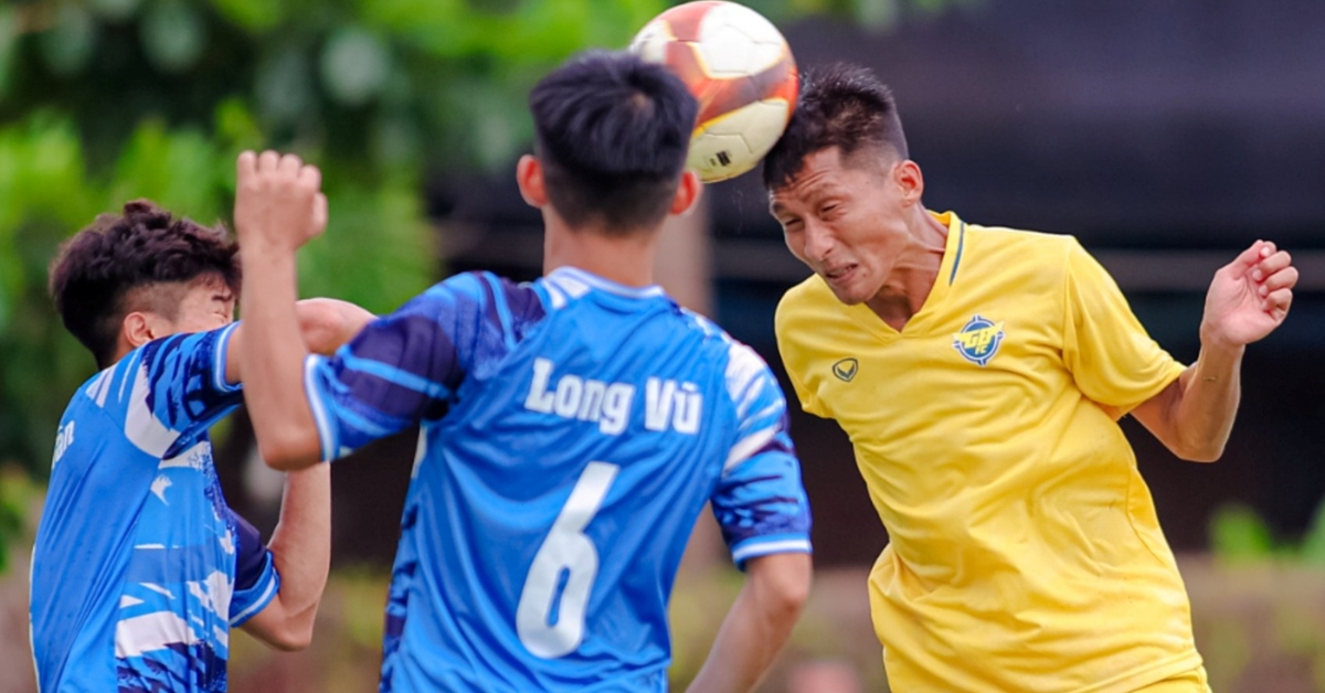 CLB Gia Định và Đại học Văn Hiến lên chơi V-League 2