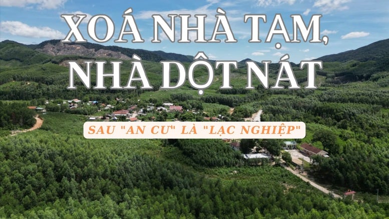 Bài cuối: Sau ‘an cư’ là ‘lạc nghiệp’- Ảnh 1.