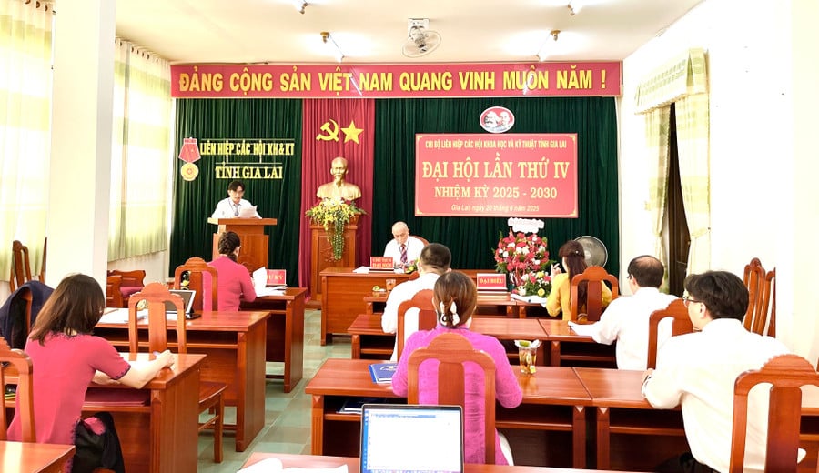 anh-vt.jpg