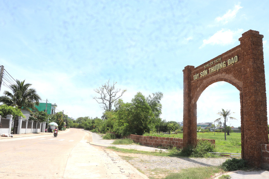 Cây-ke-roc-truong-ben-duong-nguyen-lu-trong-khu-di-tich-tay-son-thuong-dao-cao-chot-vot-uy-nghiem-nhu-nhu-vi-than-canh-giu-bao-ve-khong-gian-linh-langthieng-dinh-jpg