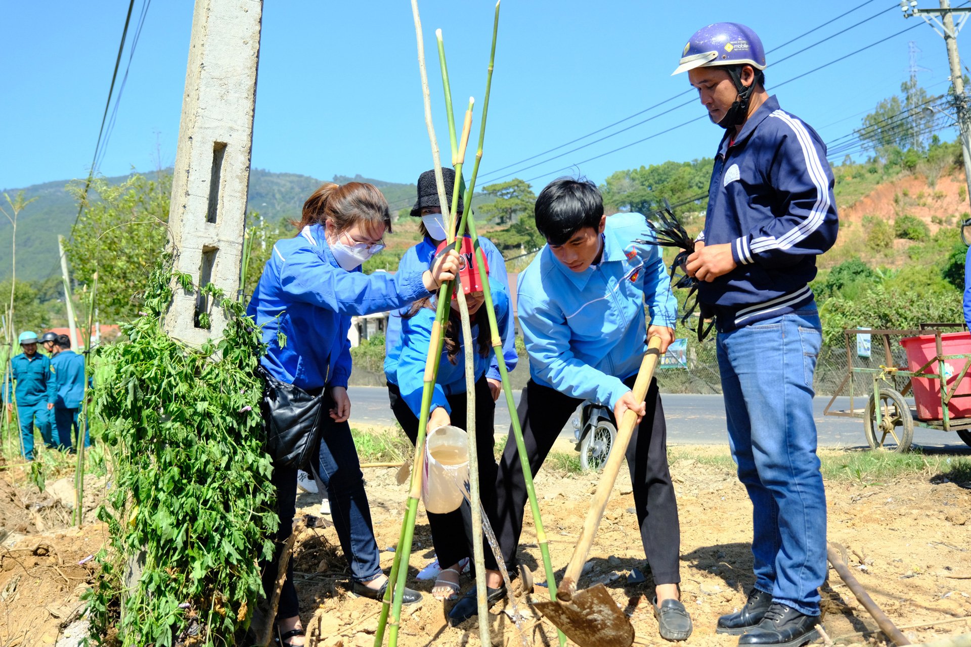 Giai đoạn 2021 - 2025, tuổi trẻ toàn tỉnh 
đã tham gia trồng mới hơn 2 triệu cây xanh