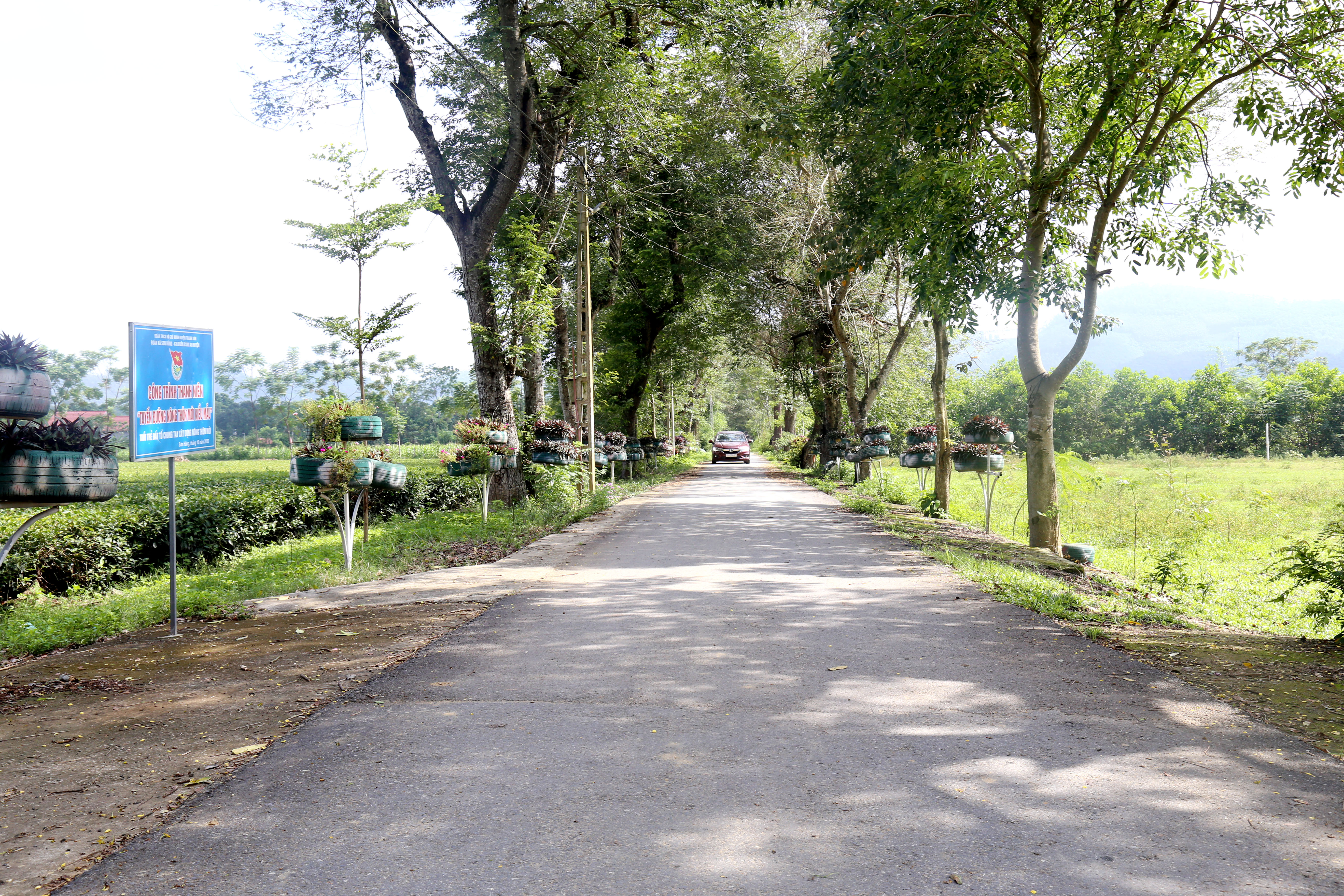 Thanh Sơn chú trọng đầu tư phát triển kinh tế vùng đồng bào dân tộc thiểu số và miền núi