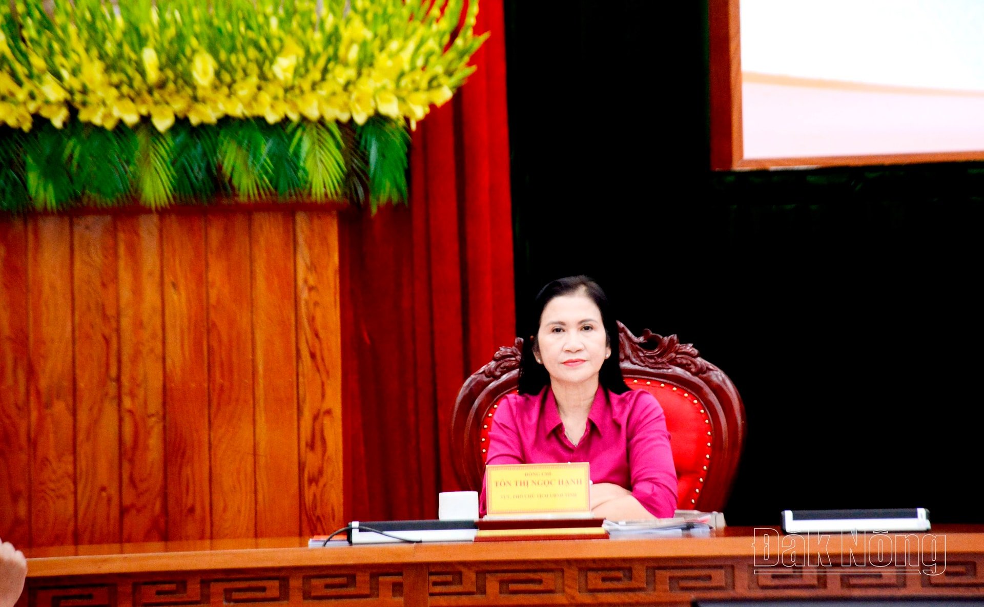 អ្នកស្រី ហន ១