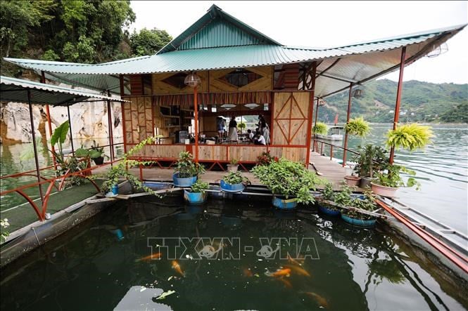 Du lịch kết hợp ngư nghiệp tạo sự phát triển bền vững - Ảnh 3.