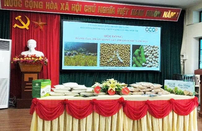 Quang Long Sticky Rice and Soybean products achieve 3-star OCOP.