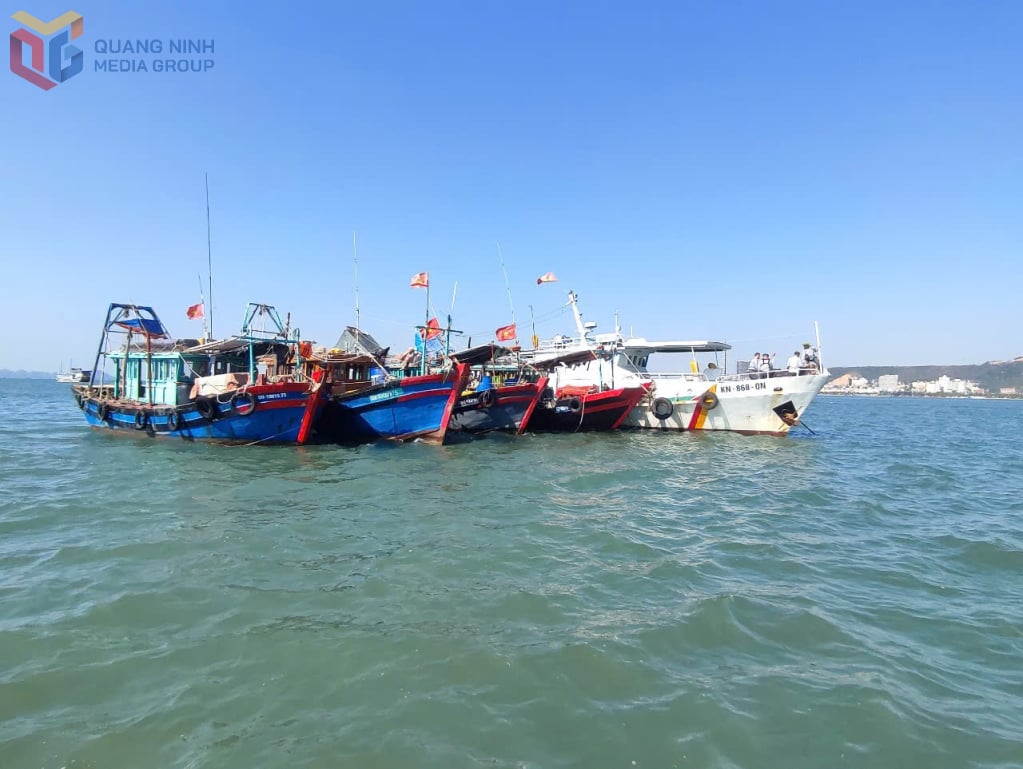 Tàu cá của ngư dân Vân Đồn neo nghỉ sau mỗi chuyến ra khơi.