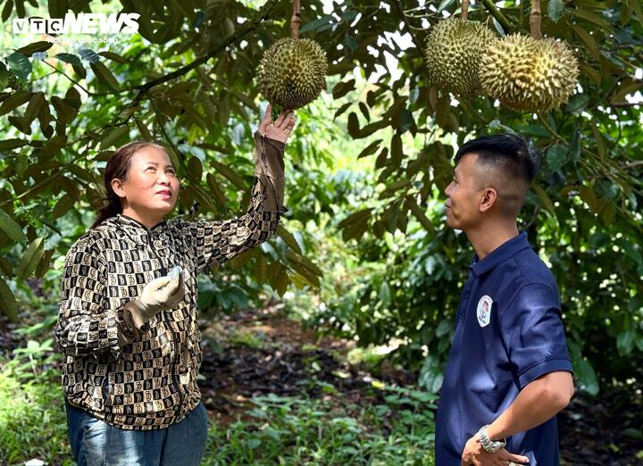 Một hộ dân phấn khởi khi áp dụng kỹ thuật mới cho trái sạch, sản lượng cao.