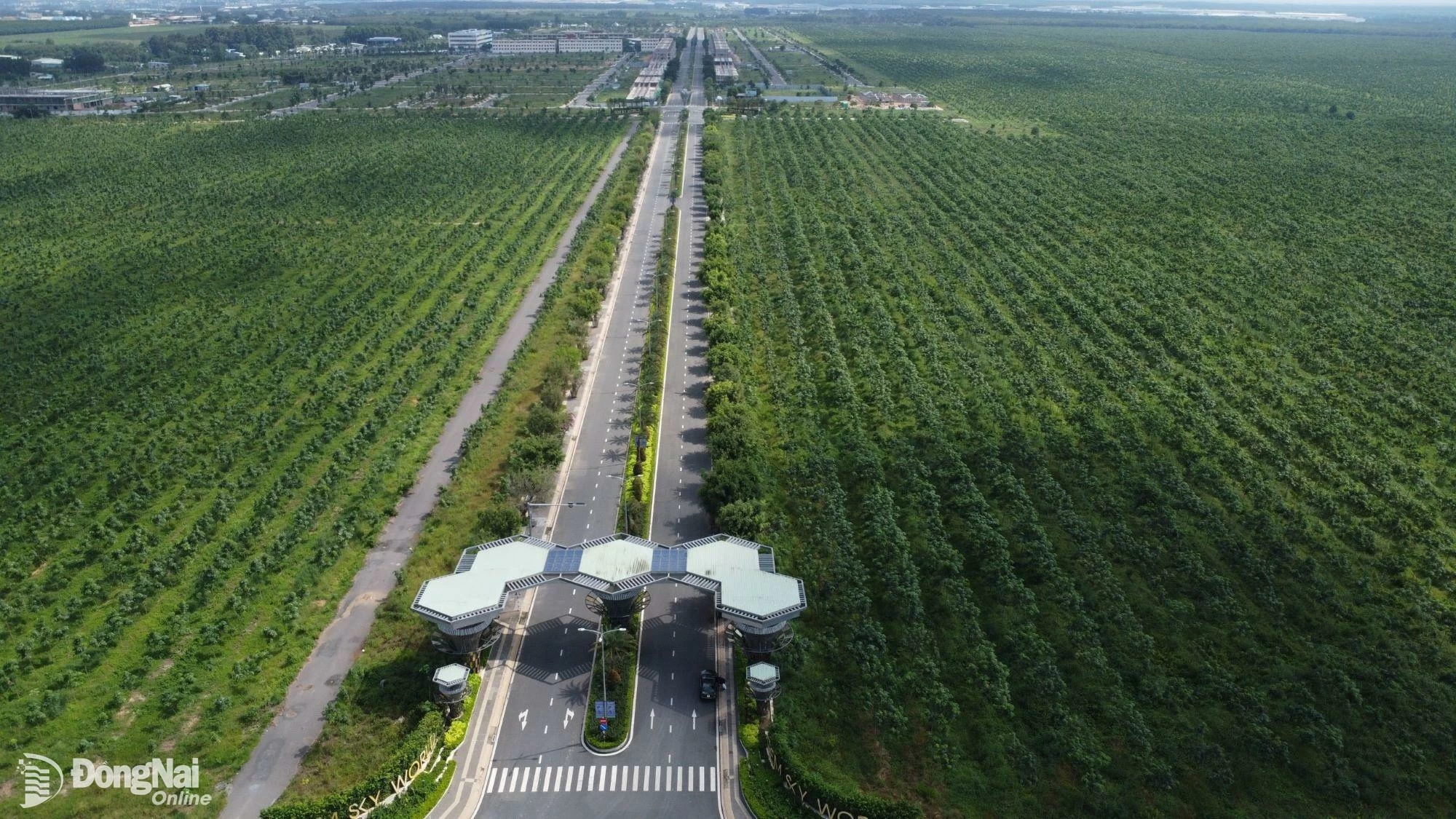 Đồng Nai mới kiến nghị Chính phủ hướng dẫn đất thu hồi của cao su. Ảnh minh họa: Dự án triển khai trên đất cao su tại huyện Long Thành