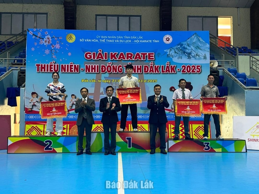 Ban tổ chức trao giải toàn đoàn, lứa tuổi nhi đồng.