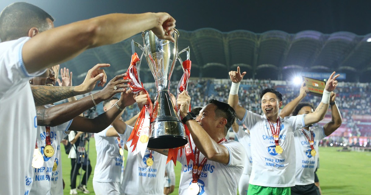Quy Nhon Binh Dinh ចាកចេញពី V.League