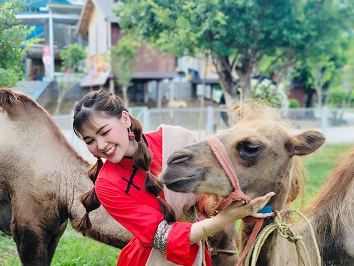 កសិដ្ឋានថាមពលព្រះអាទិត្យអានហាវ - គោលដៅទាក់ទាញ -0