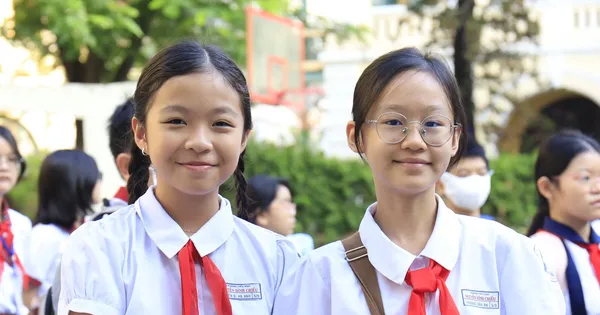 Look up the benchmark scores for grade 6 at Tran Dai Nghia Secondary and High School