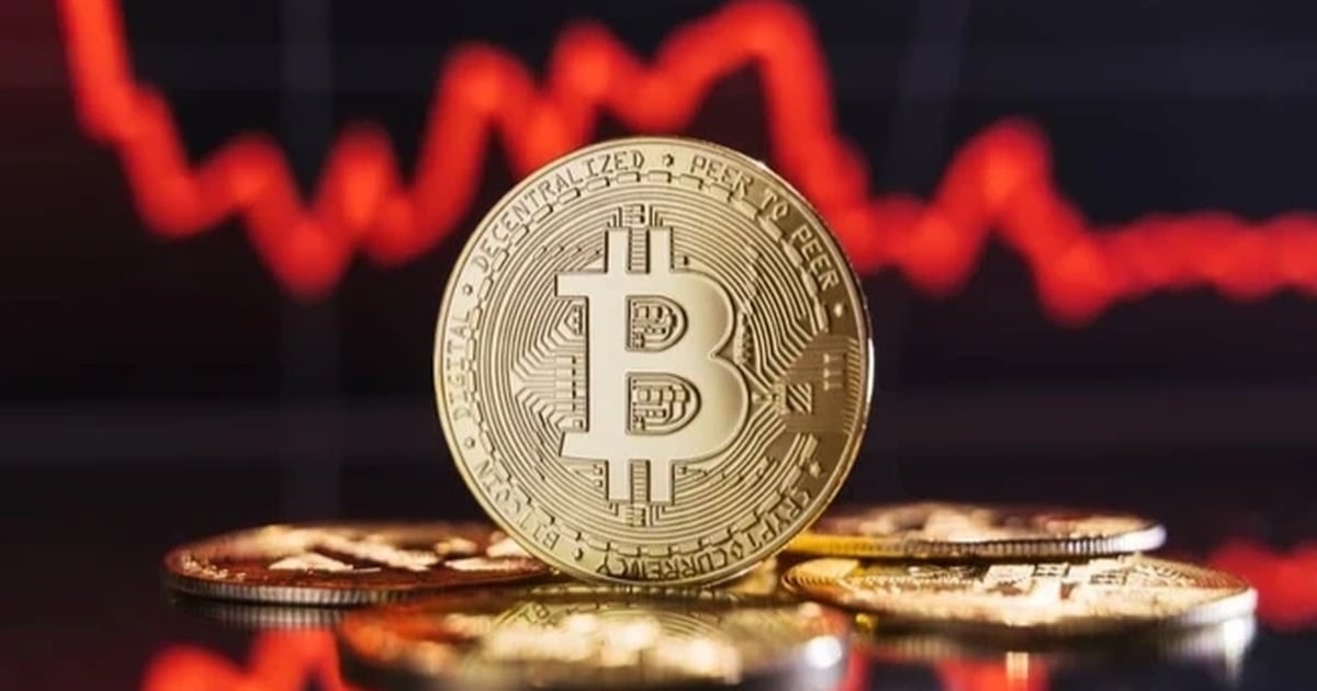 ការគាំង Bitcoin វិនិយោគិនបាត់បង់ 1 ពាន់លានដុល្លារ