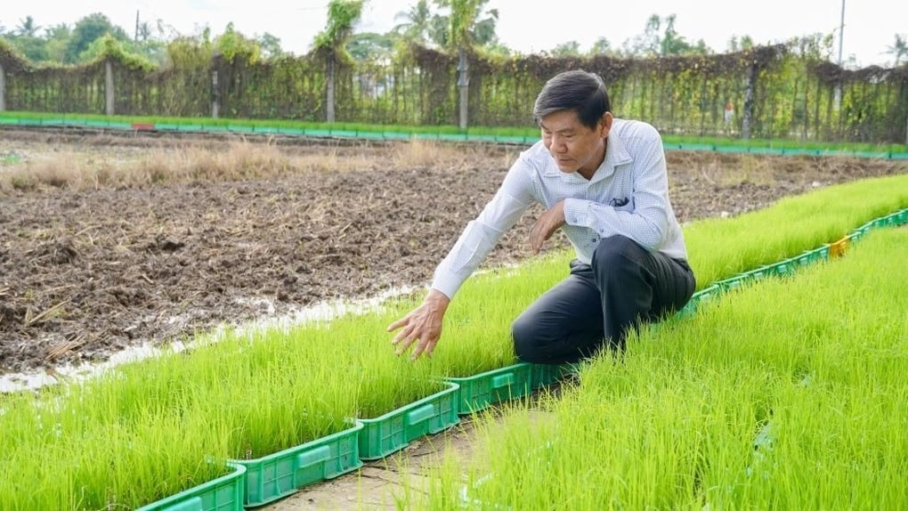 Nhà khoa học của đồng ruộng