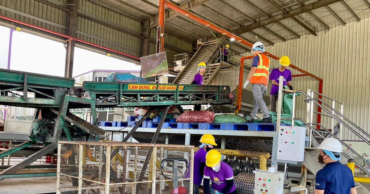 Thiếu hụt nguyên liệu, các nhà máy sản xuất nước ép trái cây giảm mạnh sản lượng