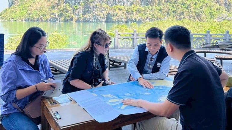 chuyen-gia-lien-hop-quoc.jpg