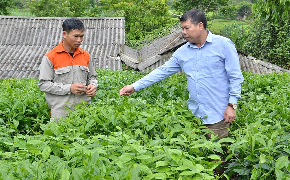 Người Thái Bình trên quê mới Nậm Búng