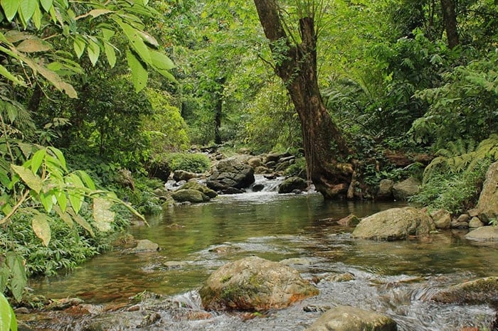 luhanhvietnam.com.vn-du-lich-vnt_upload-news-03_2020-_ve-dep-huyen-bi-hoang-so-cua-suoi-tien-quang-nam1.jpg