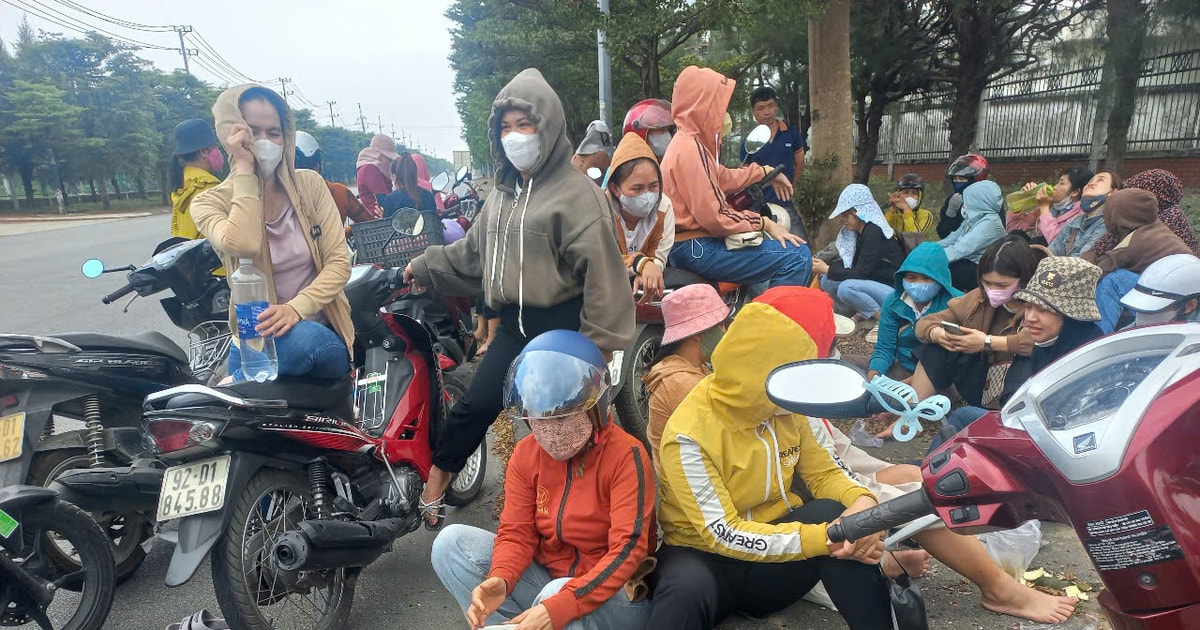 តំបន់ Quang Nam - Da Nang មានសហគ្រាស និងអង្គភាពចំនួន ៥១១ ជំពាក់ការធានារ៉ាប់រងសង្គមជាង ១៥០ ពាន់លានដុង