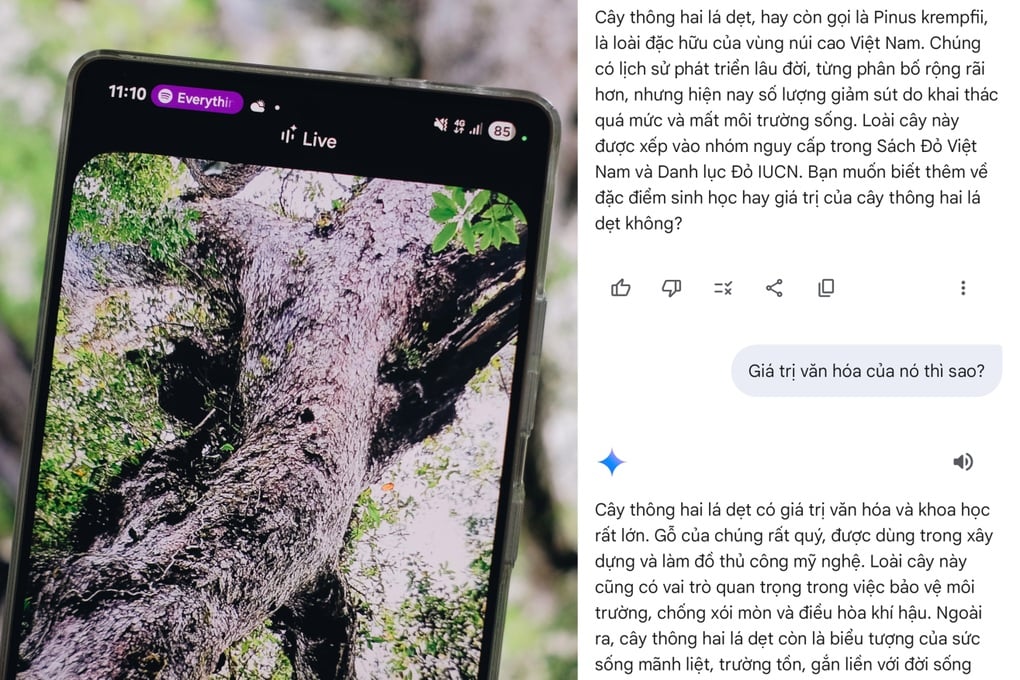Khám phá thiên nhiên cùng Galaxy S25 Series và trợ lý Gemini Live - 4
