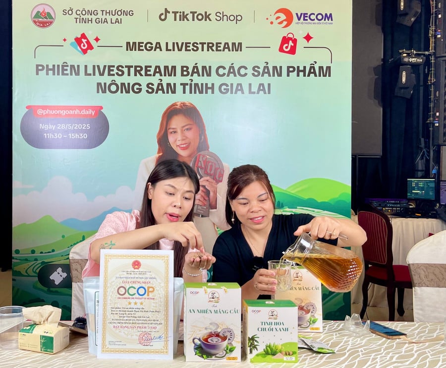 nhieu-ho-san-xuat-kinh-doanh-o-gia-lai-da-biet-ung-dung-nen-tang-so-de-mo-rong-thi-truong-tieu-thu-san-pham-anh-vu-thao.jpg