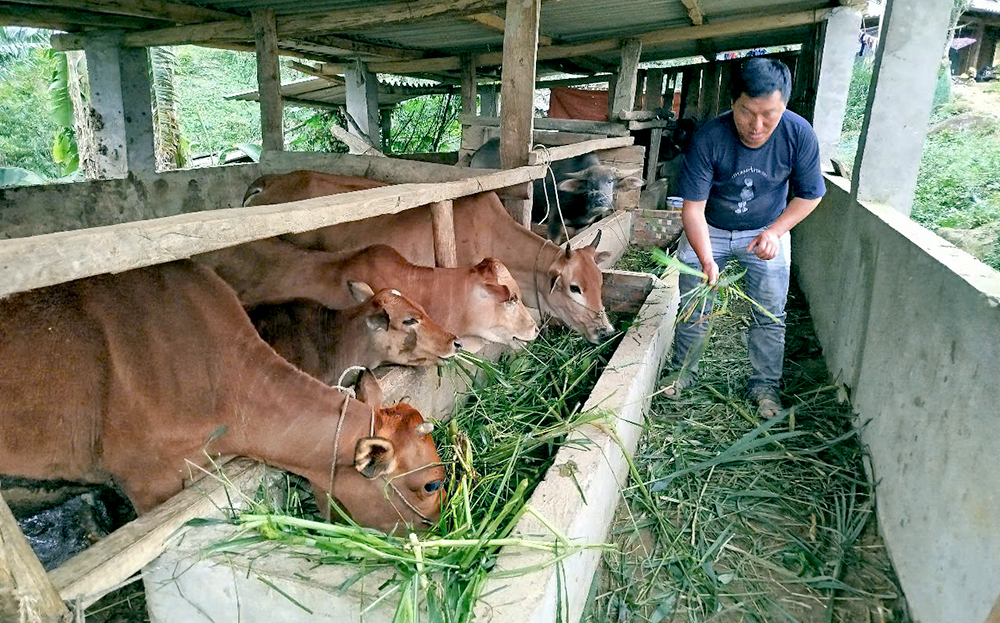 Hành trình “đổi đời” từ mục tiêu đến thực tiễn giảm nghèo - Kỳ 1: Khi người nghèo không còn “trông chờ” mà chủ động “xin thoát nghèo”
