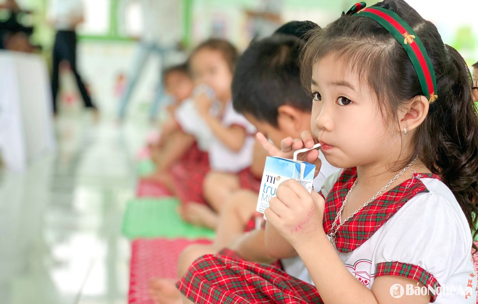  mô hình nm sữa