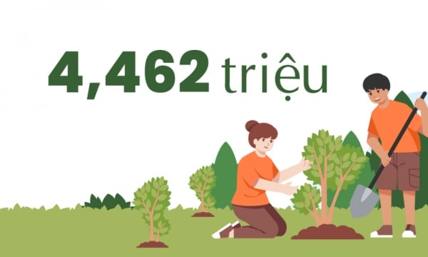 4.462 លាន - គឺជាចំនួនដើមឈើដែលដាំនៅខេត្តចាប់ពីឆ្នាំ 2020 ដល់បច្ចុប្បន្ន